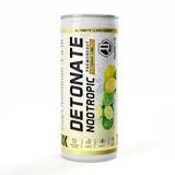 Lemon lime 250ml can